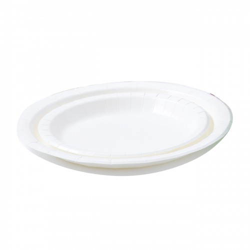 ECO-FRIENDLY PAPER PLATE