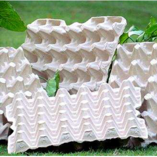 ECO-FRIENDLY BIODEGRADABLE PULP EGG TRAYS