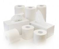 Giấy vệ sinh tissue